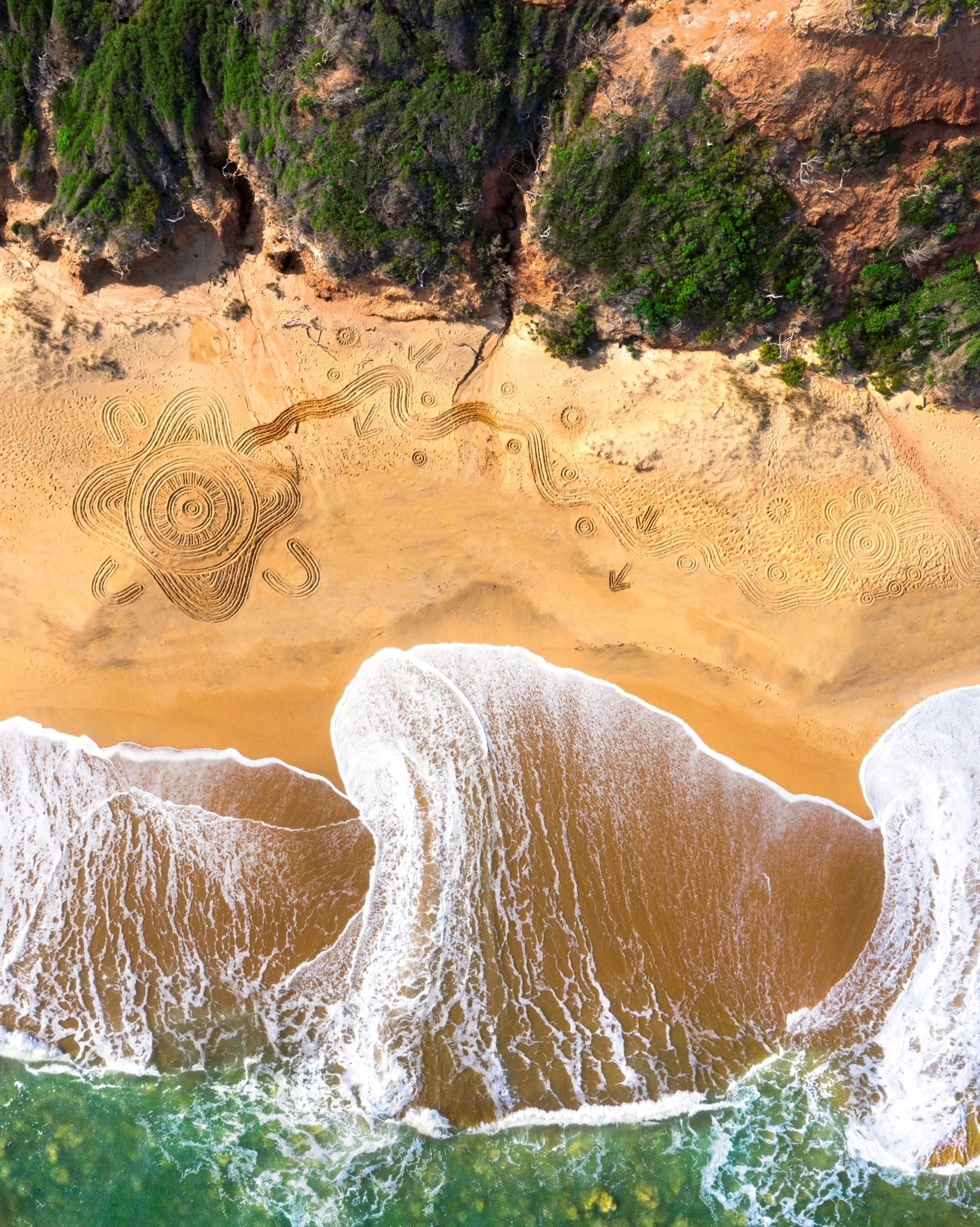 Featured image for “QLD government”