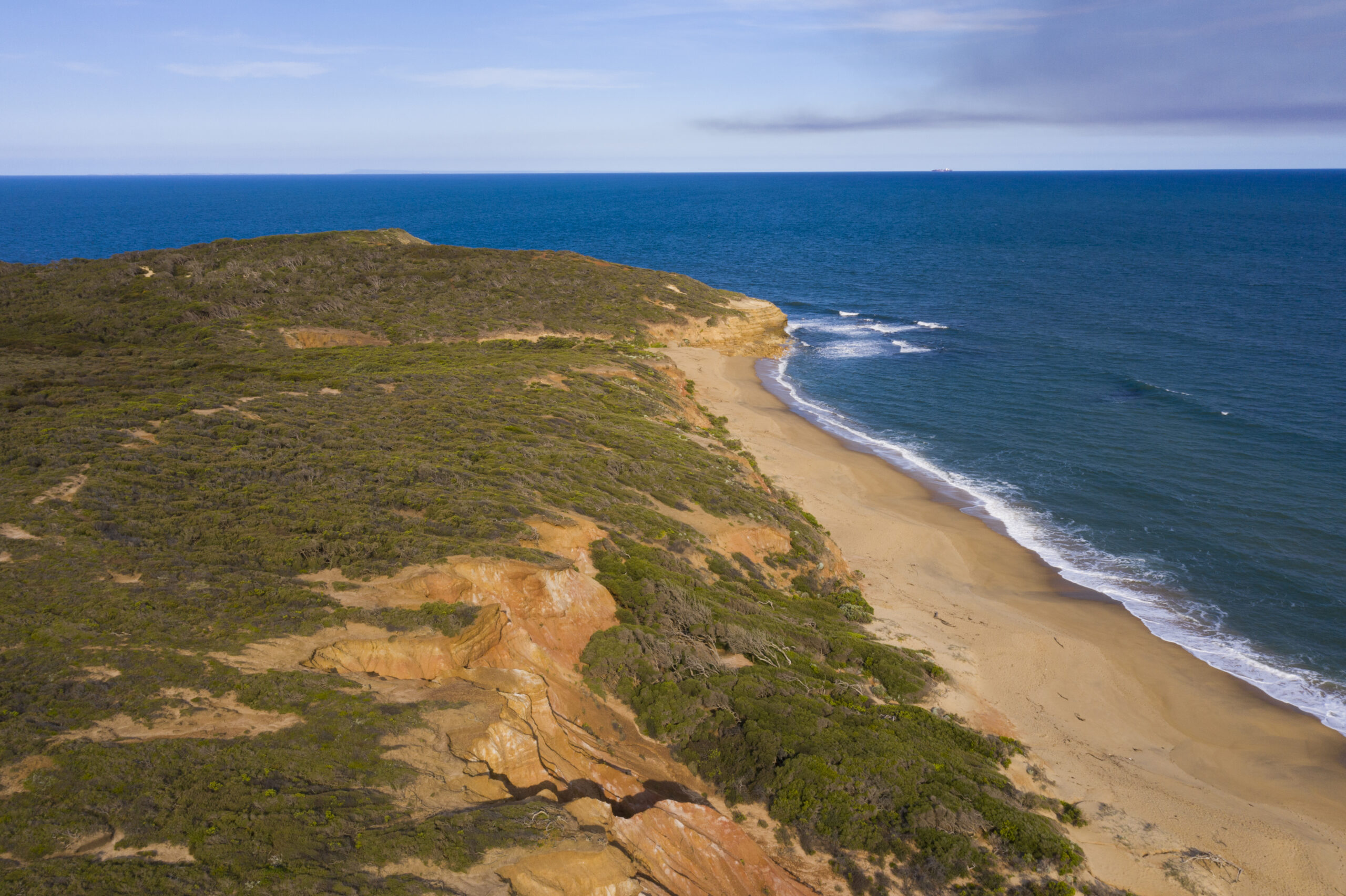 Featured image for “Position Paper: Brave action for a more just, impact-led economy ”