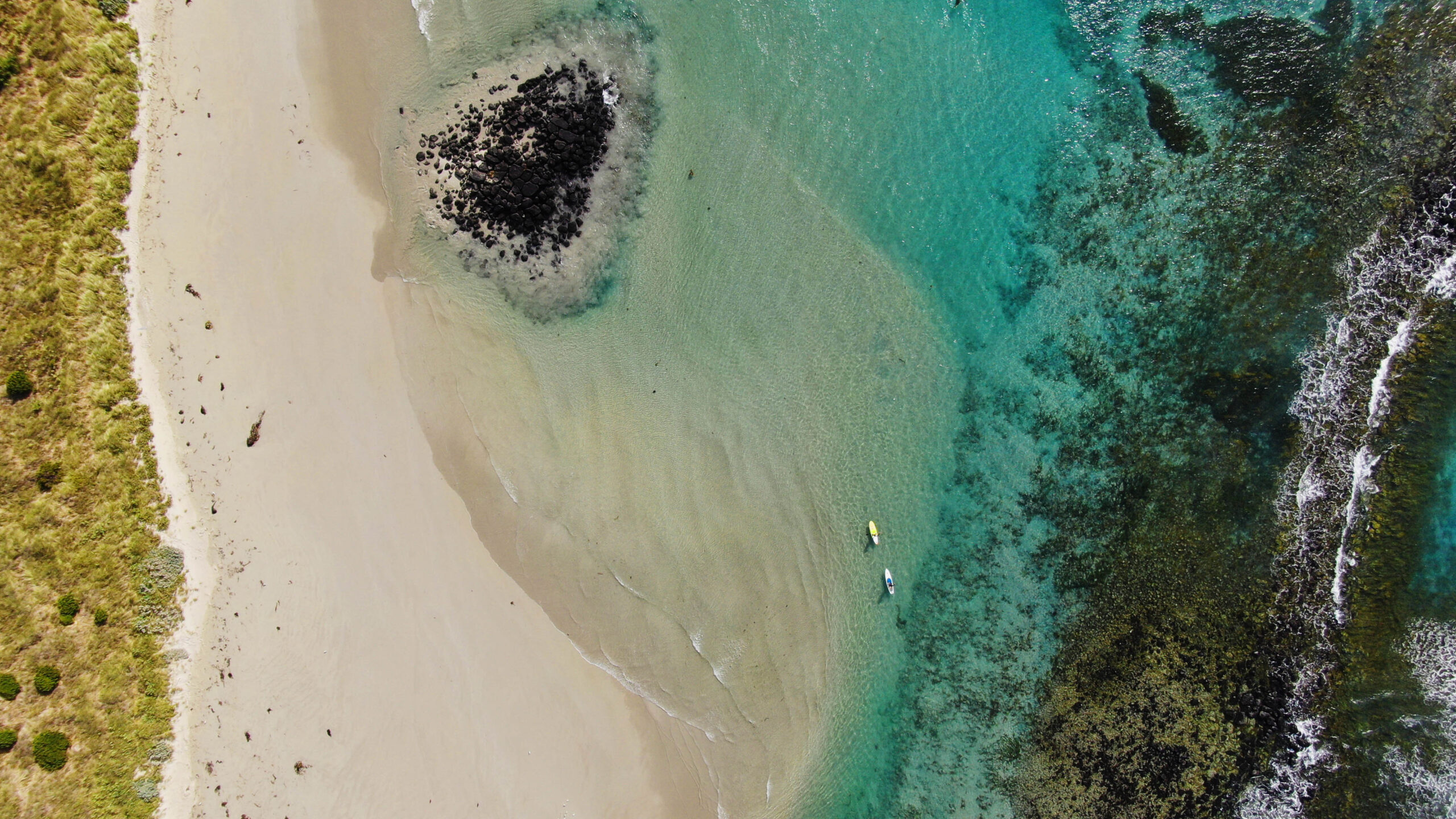 Featured image for “First Australians Capital urges Government and Investors to back Indigenous-led investment”
